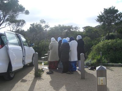 mornington3.jpg