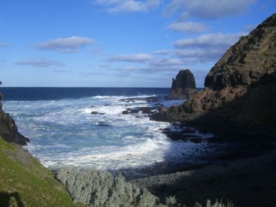 mornington8.jpg