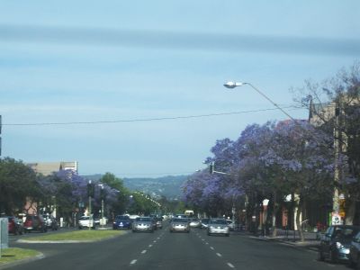 upload_adelaide5.jpg