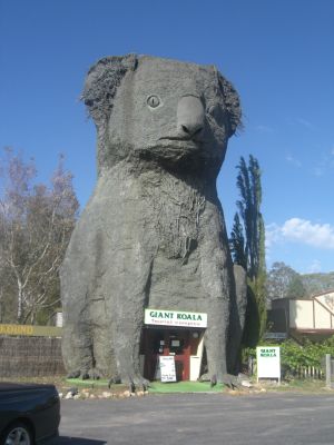 upload_adelaide7.jpg